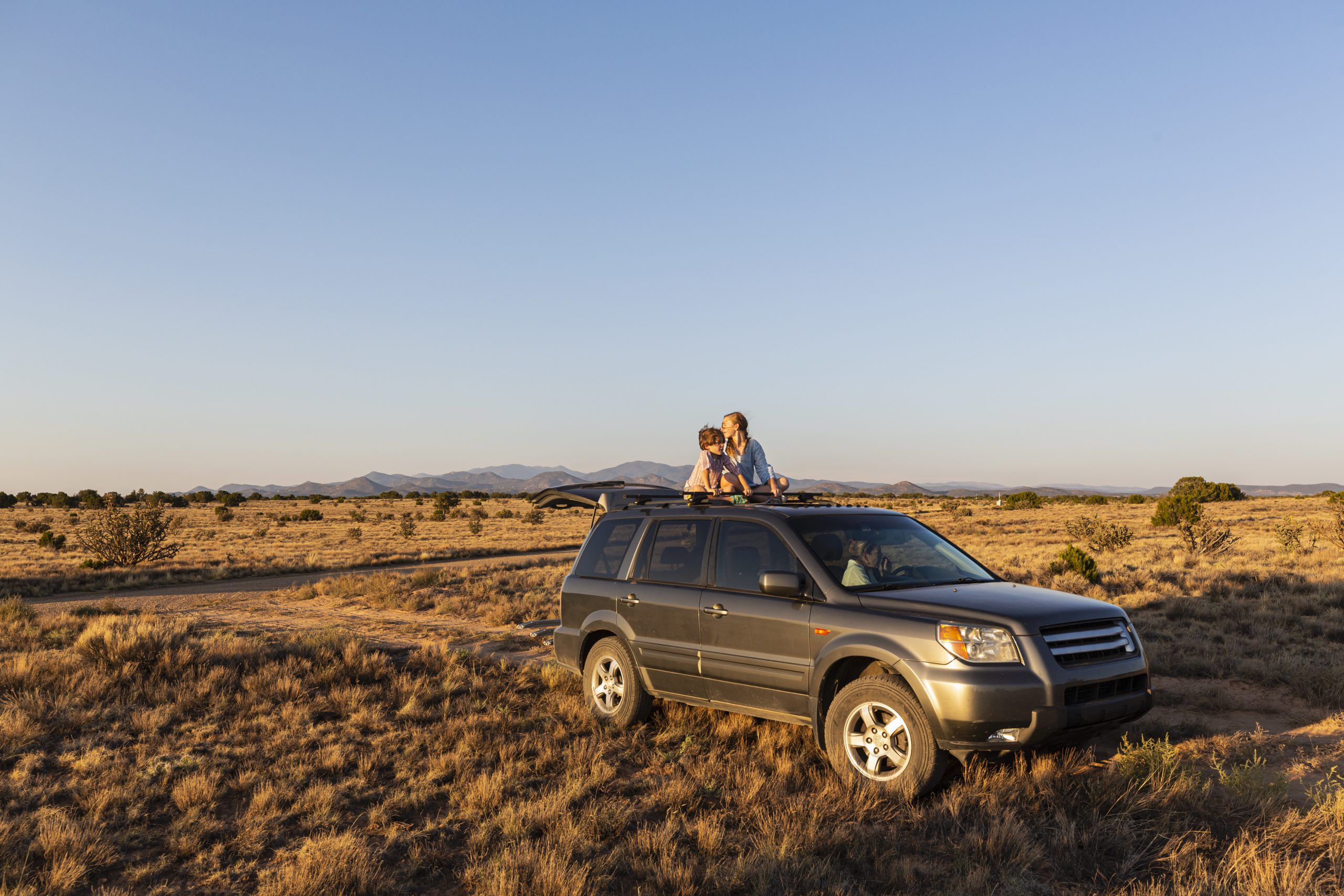 5. Vehicle Rentals